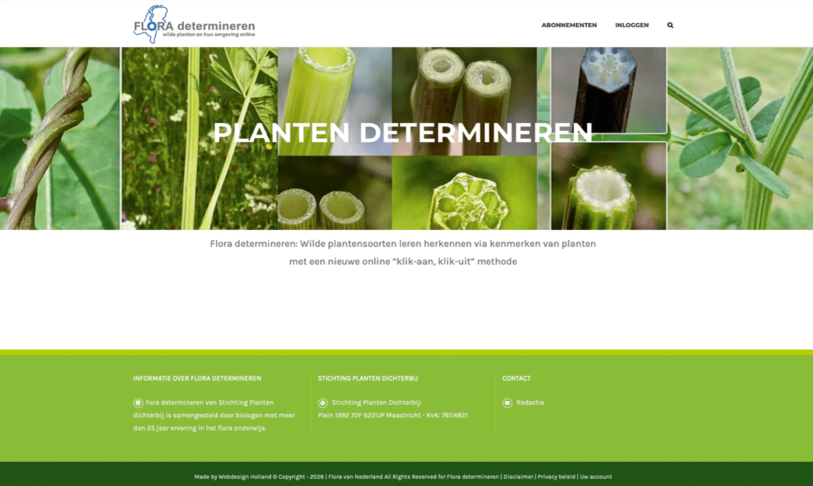 Header hero collage of plant stems and cross-sections for Flora Determineren, with the title 'PLANTEN DETERMINEREN' overlaid and site navigation at the top.