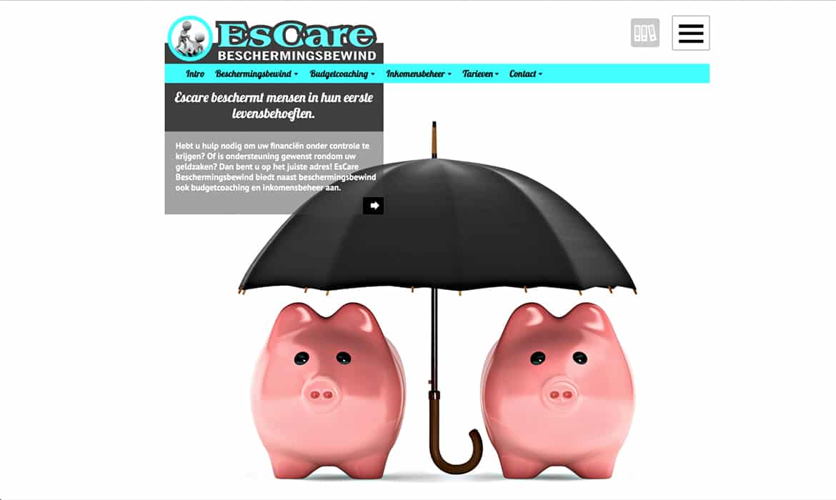 Webdesign voor EsCare beschermingsbewindvoerder