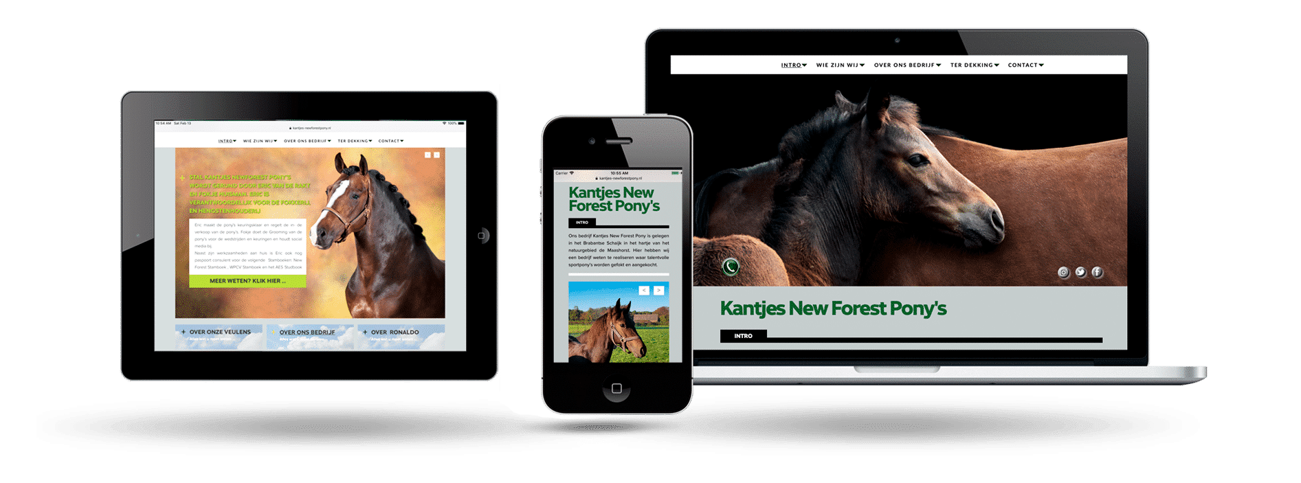 Webdesign Maastricht voor Natives Luck Travel Tanzania - overzicht media