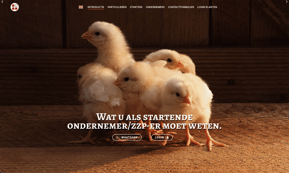 Group of fluffy yellow chicks huddled together on a wooden barn floor, used as a hero banner for a startup website.